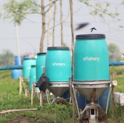 Gibran dan Inisial C Dilaporkan ke Polisi, Ini Kabar Terbaru eFishery