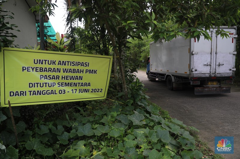 Petugas menyemprotkan cairan desinfektan untuk mencegah penyebaran penyakit mulut dan kuku pada hewan di Kandang Sapi UPTD Rumah Potong Hewan Bubulak, Bogor, Jawa Barat, Selasa, 7 Juni 2022. (CNBC Indonesia/Muhammad Sabki) Petugas menyemprotkan cairan desinfektan untuk mencegah penyebaran penyakit mulut dan kuku pada hewan di Kandang Sapi UPTD Rumah Potong Hewan Bubulak, Bogor, Jawa Barat, Selasa, 7 Juni 2022. (CNBC Indonesia/Muhammad Sabki)