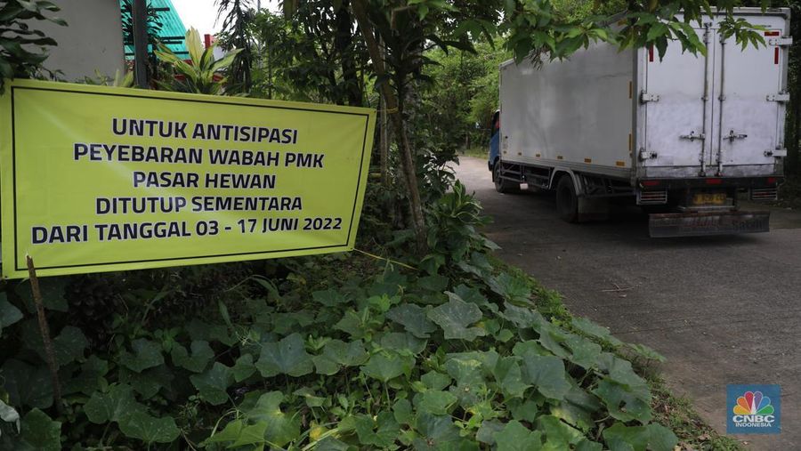 Petugas menyemprotkan cairan desinfektan untuk mencegah penyebaran penyakit mulut dan kuku pada hewan di Kandang Sapi UPTD Rumah Potong Hewan Bubulak, Bogor, Jawa Barat, Selasa, 7 Juni 2022. (CNBC Indonesia/Muhammad Sabki)