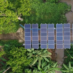 PLTS Irigasi PTBA Bantu Petani di Sumsel Panen 3 Kali Setahun