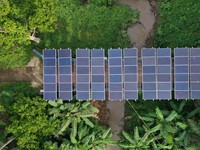PLTS Irigasi PTBA Bantu Petani di Sumsel Panen 3 Kali Setahun