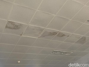 Mau Beli Rumah Second? Ini 6 Cara Mengecek Kebocoran