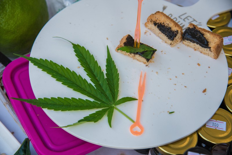 Thailand resmi menerapkan undang-undang yang melegalkan penggunaan ganja untuk keperluan medis dan kosmetik mulai hari ini, Kamis (9/6/2922). (Getty Images/Lauren DeCicca) Thailand resmi menerapkan undang-undang yang melegalkan penggunaan ganja untuk keperluan medis dan kosmetik mulai hari ini, Kamis (9/6/2922). (Getty Images/Lauren DeCicca)