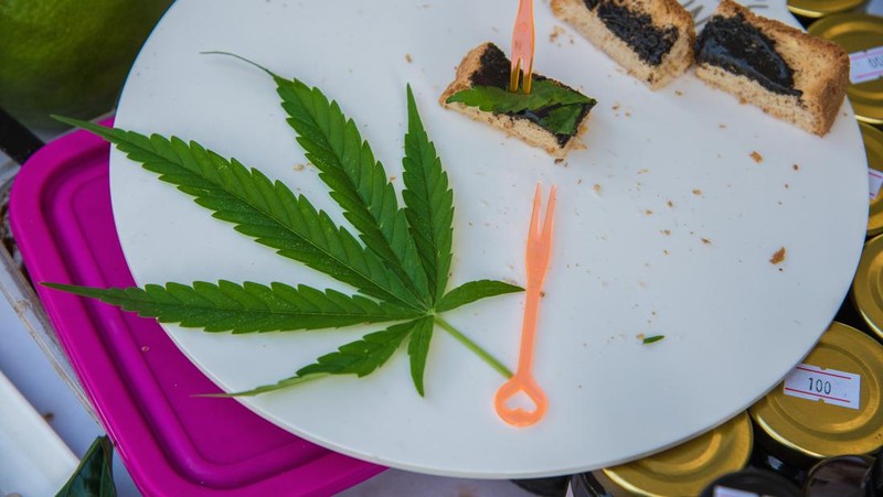 Thailand resmi menerapkan undang-undang yang melegalkan penggunaan ganja untuk keperluan medis dan kosmetik mulai hari ini, Kamis (9/6/2922). (Getty Images/Lauren DeCicca)