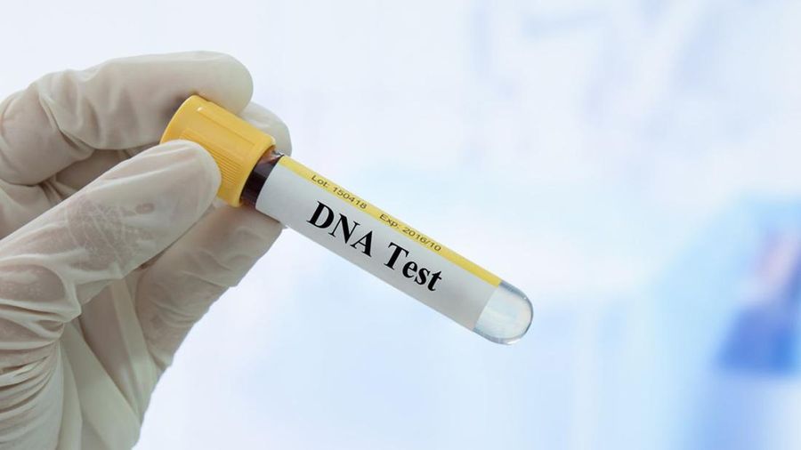 Ilustrasi tes DNA. Ist