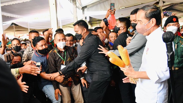 Jokowi saat menghadiri acara syukuran hasil bumi Gerakan Masyarakat (Gema) Perhutanan Sosial yang digelar di Lapangan Omah Tani, Kabupaten Batang, Provinsi Jawa Tengah, pada Rabu, 8 Juni 2022. (Dok: Biro Pers Sekretariat Presiden)