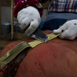 Harga Pisau Jepang Bisa Tembus Rp18 Juta, Apa Istimewanya?