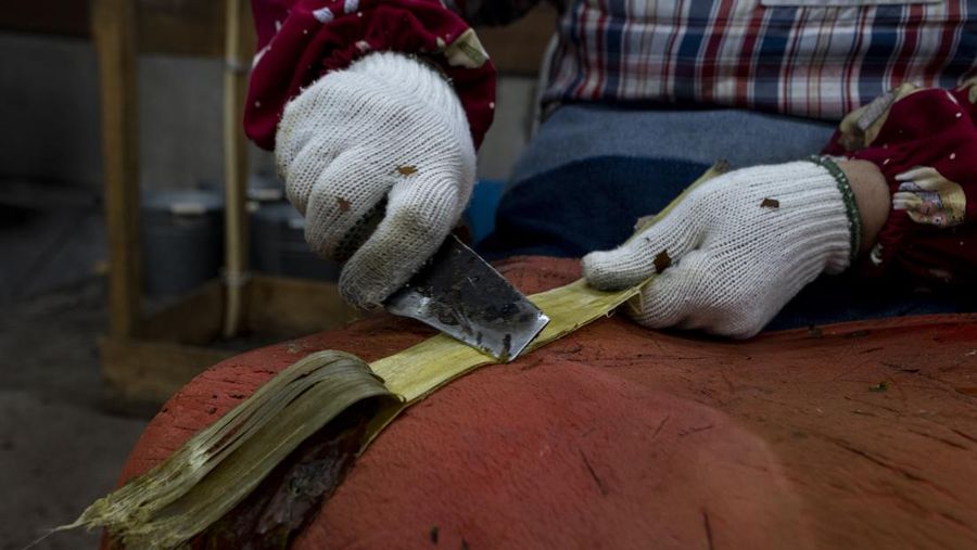 Pisau jepang (Getty Images/Buddhika Weerasinghe)