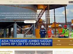 Saham BRMS Diborong Asing, UUS BTN-BSI