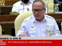 DPR Desak Kementan Minta Jokowi Tetapkan Status Bencana PMK