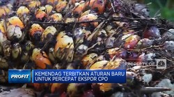 Kemendag Terbitkan Aturan Baru Untuk Percepat Ekspor CPO