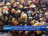 Kemendag Terbitkan Aturan Baru Untuk Percepat Ekspor CPO