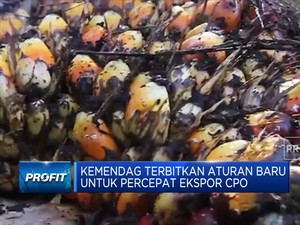 Kemendag Terbitkan Aturan Baru Untuk Percepat Ekspor CPO