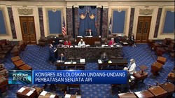 Akhirnya, Kongres AS Loloskan UU Pembatasan Senjata Api