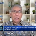 Harga & Standarisasi, Tantangan Ayam RI Masuk Singapura
