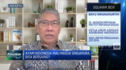 Harga & Standarisasi, Tantangan Ayam RI Masuk Singapura