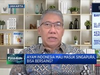 Harga & Standarisasi, Tantangan Ayam RI Masuk Singapura