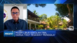 Lonjakan Harga Tiket Pesawat Ancam Pariwisata di Musim Libur
