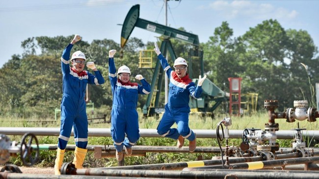 Gen Z Merapat! Pertamina Buka Lowongan Magang 400 Posisi