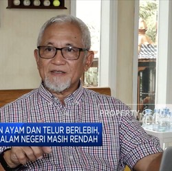 Peternak Ayam RI Tangkap Peluang Ekspor Ke Singapura