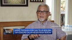Peternak Ayam RI Tangkap Peluang Ekspor Ke Singapura