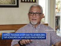 Peternak Ayam RI Tangkap Peluang Ekspor Ke Singapura