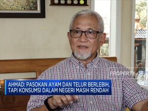 Peternak Ayam RI Tangkap Peluang Ekspor Ke Singapura