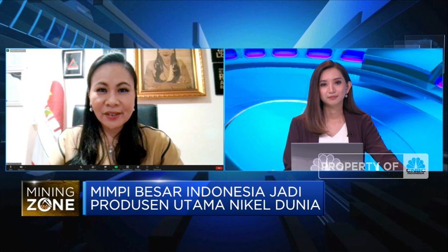 RI Bersiap Jadi Produsen Utama Nike, Penambang Siap Dukung? (²©²ÊÍøÕ¾ TV)