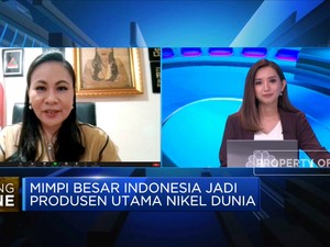 RI Bersiap Jadi Produsen Utama Nikel, Penambang Siap Dukung?