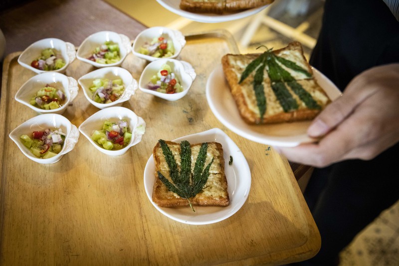 Thailand resmi menerapkan undang-undang yang melegalkan penggunaan ganja untuk keperluan medis dan kosmetik mulai hari ini, Kamis (9/6/2922). (Getty Images/Lauren DeCicca) Thailand resmi menerapkan undang-undang yang melegalkan penggunaan ganja untuk keperluan medis dan kosmetik mulai hari ini, Kamis (9/6/2922). (Getty Images/Lauren DeCicca)