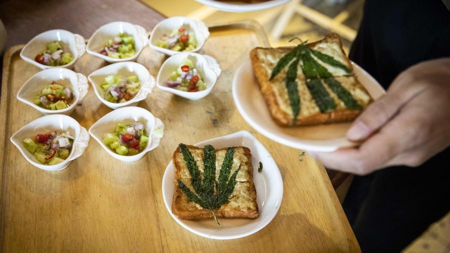 Thailand resmi menerapkan undang-undang yang melegalkan penggunaan ganja untuk keperluan medis dan kosmetik mulai hari ini, Kamis (9/6/2922). (Getty Images/Lauren DeCicca)