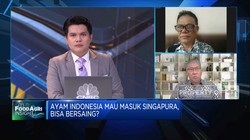 Tak Hanya Singapura, Ini Pasar Potensial Bagi Ekspor Ayam RI
