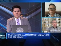 Tak Hanya Singapura, Ini Pasar Potensial Bagi Ekspor Ayam RI
