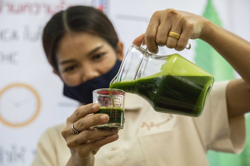 Thailand resmi menerapkan undang-undang yang melegalkan penggunaan ganja untuk keperluan medis dan kosmetik mulai hari ini, Kamis (9/6/2922). (Getty Images/Lauren DeCicca) Thailand resmi menerapkan undang-undang yang melegalkan penggunaan ganja untuk keperluan medis dan kosmetik mulai hari ini, Kamis (9/6/2922). (Getty Images/Lauren DeCicca)