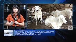 Cegah PMK, Rumah Potong Terapkan Jaga Jarak Hewan Kurban