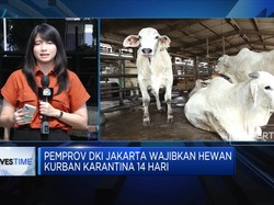 Cegah PMK, Rumah Potong Terapkan Jaga Jarak Hewan Kurban