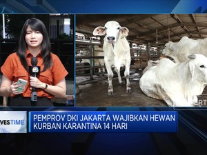 Cegah PMK, Rumah Potong Terapkan Jaga Jarak Hewan Kurban