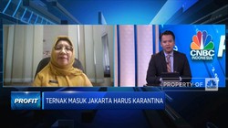 DKI Jakarta Perangi Wabah PMK Ternak, Ini Strateginya