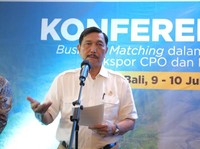 Tugas Baru Jokowi ke Luhut: Urus PMK!