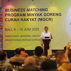 Terungkap! Ini Alasan Luhut Mau Hapus Minyak Goreng Curah