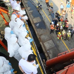 Ternyata! Salah Urus Logistik Sapi Bisa Bikin Rugi Triliunan