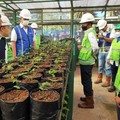 PTBA Bangun Botanical Garden 17 Hektar di Muara Enim