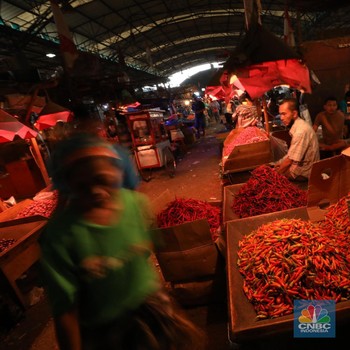 Gokil! Harga Cabai Rawit Ada yang Tembus Rp 150 Ribu/Kg