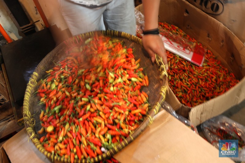 Cabai rawit merah Cabai rawit merah di Pasar Induk Kramat Jati, Senin (13/6/2022). (CNBC Indonesia/ Tri Susilo)