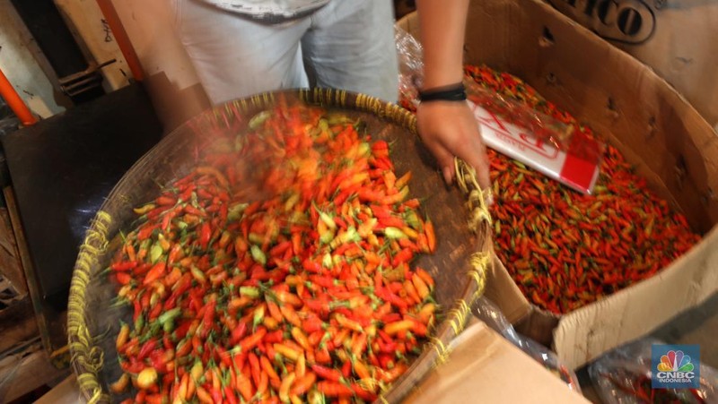 Cabai rawit merah di Pasar Induk Kramat Jati, Senin (13/6/2022). (CNBC Indonesia/ Tri Susilo)