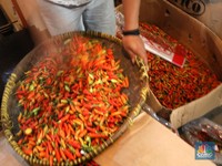 Makin Pedas, Harga Cabai Meroket di Penjuru Jakarta