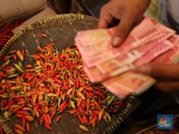 Jokowi Wanti-wanti Krisis Pangan eh Harga Sembako Menggila