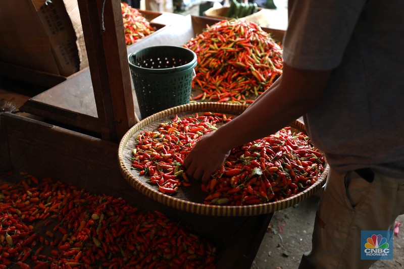 Cabai rawit merah Cabai rawit merah di Pasar Induk Kramat Jati, Senin (13/6/2022). (CNBC Indonesia/ Tri Susilo)