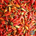 Diam-Diam Harga Cabai Rawit Merah Meledak, Badan Pangan Bilang Begini