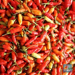 Diam-Diam Harga Cabai Rawit Merah Meledak, Badan Pangan Bilang Begini